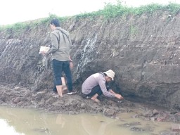 Informasi dari Bumi Blambangan hingga Kota Soto Jadi Pilihan Pembaca