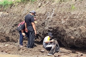 Tim Ahli Cagar Budaya Diterjunkan ke Lokasi Penemuan Situs Kuno di Banyuwangi