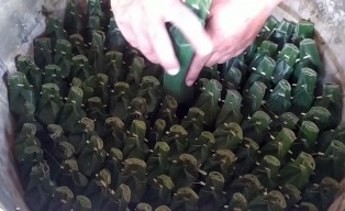 Jelang Lebaran Ketupat, Produsen Lontong di Jombang Untung Berlipat