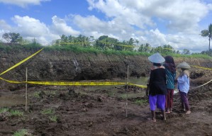 Cegah Penjarahan, Lokasi Penemuan Situs Kuno di Banyuwangi Dipasangi Garis Polisi