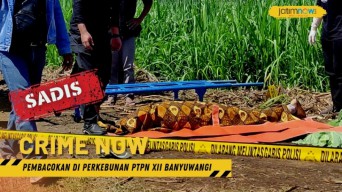 Pembacokan Di Perkebunan PTPN XII Banyuwangi, Satu Tewas, Satu Orang Lainnya Kritis