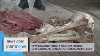 Penemuan Kerangka Manusia Diduga Berhubungan Dengan Kawanan Anjing Liar