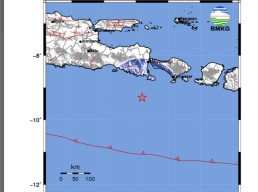 Gempa 4,6 M di Perairan Bali Terasa hingga Banyuwangi