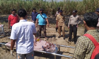 Lansia di Kediri Tewas Terpanggang di Lahan Tebu