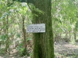 4 Tempat Angker di Jombang, Berani Uji Nyali?