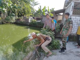 Nahas! Balita di Lamongan Tewas Tercebur di Kolam Ikan