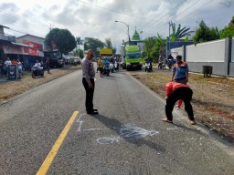 Pengendara Motor Beat Tewas Tertabrak Mobil Ekspedisi di Jalan Jember-Banyuwangi