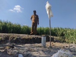 Semburan Air Setinggi 10 Meter di Desa Kunci Bojonegoro Berbau Belerang