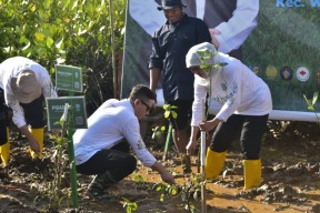 Festival Mangrove ke-4 Jatim Digelar di Trenggalek