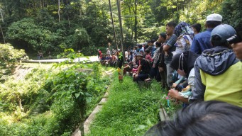 Evakuasi Truk Pengangkut Jati Terperosok di Jalur Gumitir Menjadi Tontonan Warga