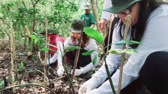 Aksi Hijau untuk Langit Biru Oriflame Indonesia di Hutan Mangrove Surabaya