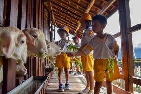 Destinasi Wisata Baru di Surabaya, Mini Agrowisata Favorit Anak-anak