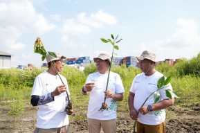 Pelindo Petikemas Hijaukan Area Pelabuhan