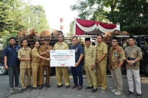 Idul Adha 1444 Hijriah, SIG Salurkan 489 Hewan Kurban di 20 Provinsi