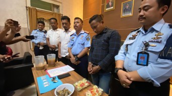 Apresiasi Unicef, Sayur Ikan Isi Sabu, Beli Online