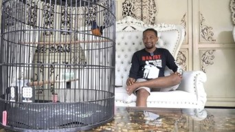Cara Ampuh Atasi Murai Batu Mental Drop ala Om Sanda Umpamane Kicau