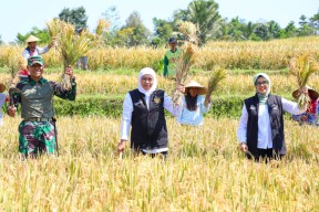 Gubernur Khofifah di Momen Hari Krida Pertanian: Petani Harus Sejahtera