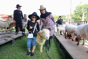 Banyuwangi Livestock Contest Pamerkan Ratusan Ternak Unggulan