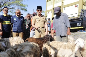 Mas Ipin Cek Harga Sembako dan Hewan Kurban di Trenggalek, Stabil Lur...