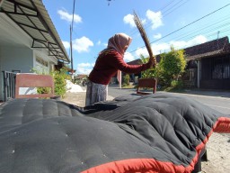 Tradisi Mepe Kasur Suku Osing Banyuwangi, Ini Filosofi Warna Merah Hitam