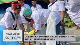 Video: Juleha Kabupaten Kediri Beber Cara Halal Sembelih Hewan