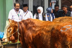Pesan Gubernur Khofifah pada Seluruh Pengelola Rumah Potong Hewan di Jatim