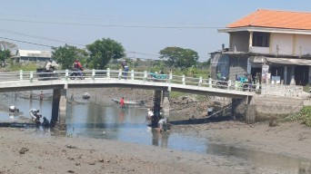 Kali Dinoyo Lamongan Surut, Warga Antusias Berburu Ikan