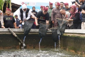 Program Kolega, Terobosan Mas Dhito Turunkan Stunting