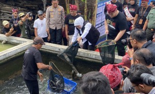 Khofifah Panen Lele di Kediri, Dorong Variasi Olahan untuk Menarik Minat Anak-anak