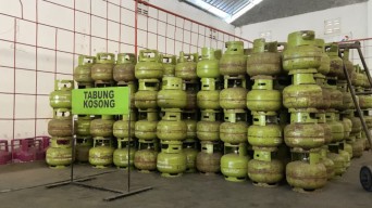 DKPP Temukan Ratusan Peternak Ayam Broiler di Kediri Gunakan Elpiji Bersubsidi