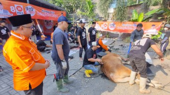 PKS Sebar 252.700 Paket Daging Kurban ke Warga Jawa Timur