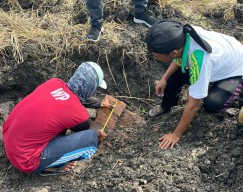 Penemuan Batu Bata Kuno Diduga Struktur Candi di Sawah, Hebohkan Warga Lamongan
