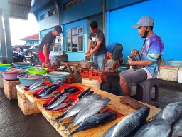 Harga Ikan Naik 30 Persen di TPI Puger Jember Akibat Cuaca Buruk