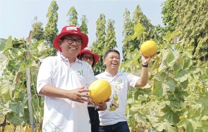 Smart Farming Petrokimia Gresik Atasi Kendala Lahan Pertanian