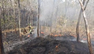 Hutan Lindung Ponorogo Terbakar, Jalan Raya Pulung-Sooko Dipenuhi Asap Tebal