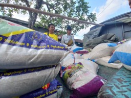 Sawah Belum Panen dan Gabah Mahal, Berdampak Harga Beras di Tulungagung Naik