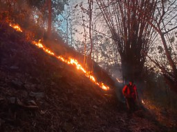 Kebakaran Hutan di Sambit Ponorogo, Warga Kehilangan Akses Sumber Air Bersih