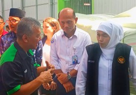 Gubernur Khofifah Lepas Ekspor 15 Ton Rumput Laut Sidoarjo ke Australia
