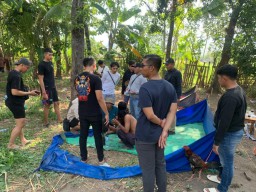 Grebek Judi Sabung Ayam, Polres Situbondo Amankan 2 Tersangka, Uang Puluhan Juta dan 10 Motor