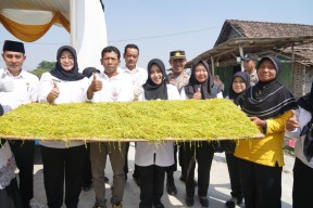 Agar Harga Tembakau Meningkat, Bupati Ikfina Sampaikan Pesan Ini