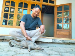 Warga Ponorogo Kaget Temukan Hewan Bersisik Ini Terluka, Semula Dikira Ular