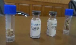 Pakar Farmasi Unair Surabaya Teliti Transplantasi Tulang Sapi untuk Obat Osteoporosis