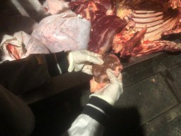 Waspada! Daging Gelonggongan Masuk Surabaya, Ini Bahayanya untuk Kesehatan