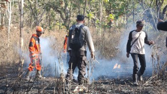 Tim Gabungan BPBD Kota Kediri Padamkan Api yang Menjalar di Bukit Klotok