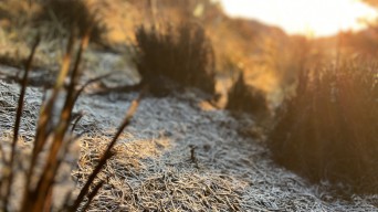 Bromo Probolinggo Berselimut Kristal Es, Suhu Dingin 6-8 Derajat Celcius