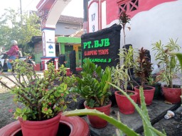Menengok Keindahan Kampung Tempe Kota Probolinggo