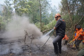 Kebakaran di Kawasan Wisata Bromo Berhasil Dipadamkan