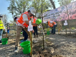 Wujudkan Masa Depan Berkelanjutan, TPS Tanam 200 Pohon di Hari Jadi ke-2 Pelindo
