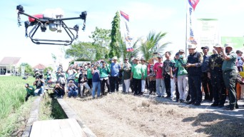 Geliat Petani Millenial di Lamongan