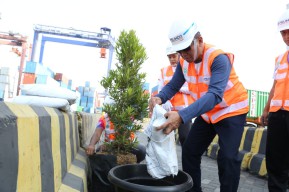 BJTI Hijaukan Pelabuhan Tanjuk Perak dengan Tanam Pohon Produktif di Terminal Berlian